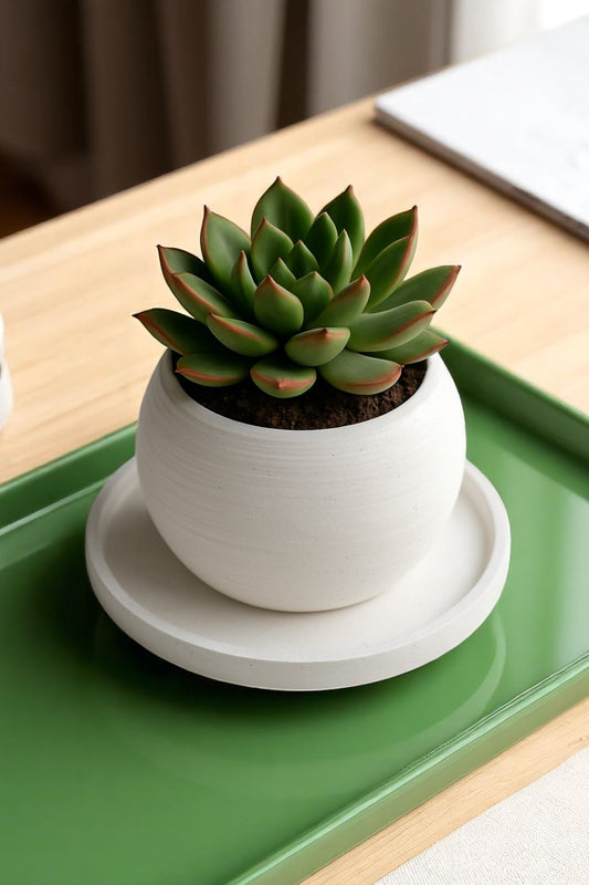 Beyaz Renk Yuvarlak Dekoratif Beton Saksı