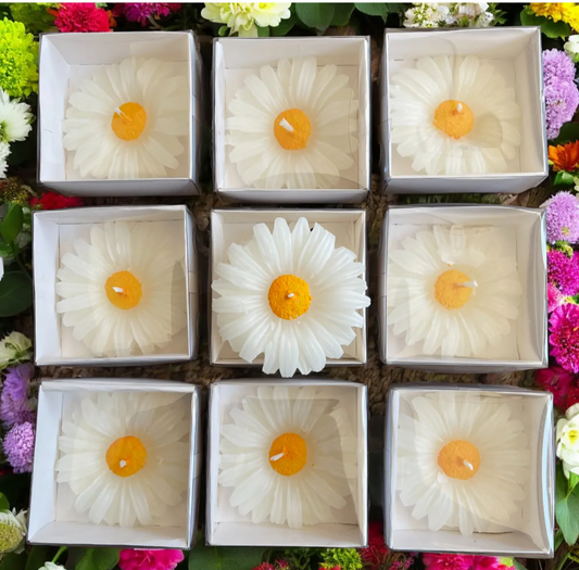 Doğallığın Zarafeti: Kraft Kutulu El Yapımı Mumlar ile Tanışın